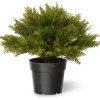 National Tree Company 15" Artificial Globe Juniper