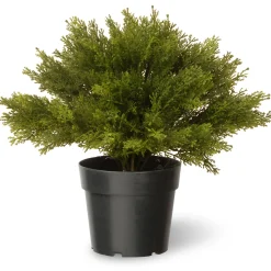 National Tree Company 15" Artificial Globe Juniper