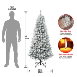 National Tree Company 6 ft. Acacia Flocked Tree