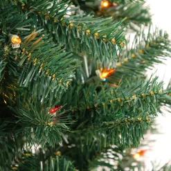 National Tree Company 6 ft. Acacia Tree with Multicolor Lights