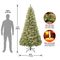 National Tree Company 7.5 ft. Arcadia Pine Cashmere Tree
