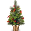 National Tree Company 2 ft. Crestwood Spruce Tree