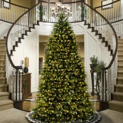 National Tree Company 14 ft. Dunhill Fir Tree