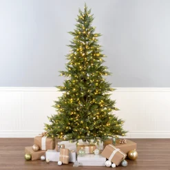 National Tree Company 7.5 ft. Festive Fern Tree with Clear Lights