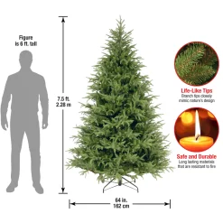 National Tree Company 7.5 ft. Fraser Grande Tree