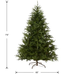 National Tree Company 7.5 ft. Fraser Grande Tree