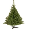 National Tree Company 4 ft. Kincaid Spruce Tree