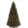 National Tree Company 16 ft. North Valley Spruce Tree