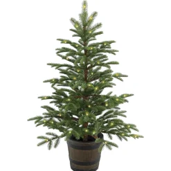 National Tree Company 4 ft. Norwegian Spruce Entrance Tree with Clear Lights