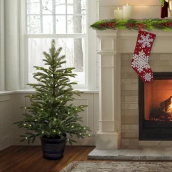 National Tree Company 4 ft. Norwegian Spruce Entrance Tree with Clear Lights