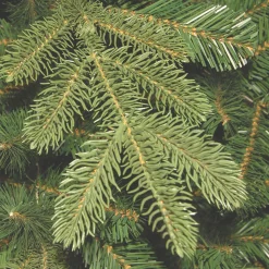 National Tree Company 4 ft. Norwegian Spruce Entrance Tree with Clear Lights