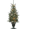 National Tree Company 4 ft. Pre-Lit Snowy Morgan Spruce Tree with Clear Lights
