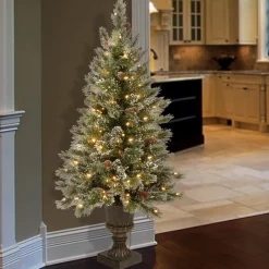 National Tree Company 4 ft. Pre-Lit Aberdeen Blue Spruce Tree with Twinkly LED Lights