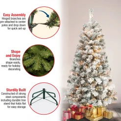 National Tree Company 4.5 ft. Pre-Lit Acacia Flocked Tree with Clear Lights