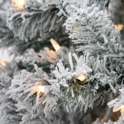 National Tree Company 6 ft. Pre-Lit Acacia Flocked Tree with Clear Lights