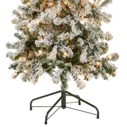 National Tree Company 6 ft. Pre-Lit Acacia Medium Flocked Tree with Clear Lights