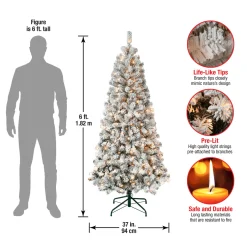National Tree Company 6 ft. Pre-Lit Acacia Slim Tree with Clear Lights