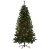 National Tree Company 6 ft. Pre-Lit Acacia Tree with Clear Lights