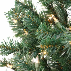 National Tree Company 6 ft. Pre-Lit Acacia Tree with Clear Lights