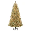 National Tree Company 6 ft. Pre-Lit Arcadia Pine Cashmere with Clear Lights