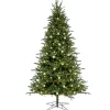 National Tree Company 10 ft. Pre-Lit Aspen Pine Hinged Tree with Warm White LED Light