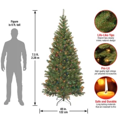 National Tree Company 7.5 ft. Pre-Lit Aspen Spruce Slim Tree with Multicolor Lights