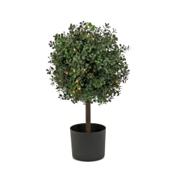 National Tree Company 2 ft. Pre-Lit Boxwood Single Ball Topiary in Black Nursery Pot with Clear Lights
