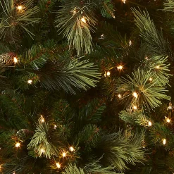 National Tree Company 7.5 ft. Pre-Lit Carolina Pine Tree with 1000 Clear Lights