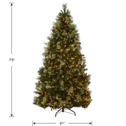 National Tree Company 7.5 ft. Pre-Lit Carolina Pine Tree with 1000 Clear Lights