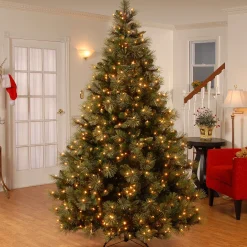National Tree Company 7.5 ft. Pre-Lit Carolina Pine Tree with 750 Clear Lights