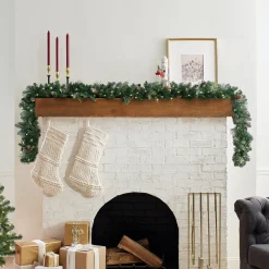 National Tree Company 9 ft. Pre-Lit Carolina Pine Garland with LED Lights