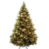 National Tree Company 6.5 ft. Pre-Lit Carolina Pine Tree with Clear Lights