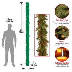 National Tree Company 9 ft. Pre-Lit Classical Collection Garland with Clear Lights