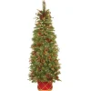 National Tree Company 6 ft. Pre-Lit Colonial Collection Slim Tree with Clear Lights
