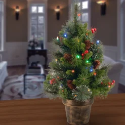 National Tree Company 2 ft. Pre-Lit Crestwood Spruce Tree with Multicolor LED Lights