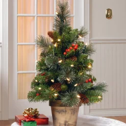 National Tree Company 2 ft. Pre-Lit Crestwood Spruce Tree with Clear Lights