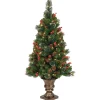 National Tree Company 4 ft. Pre-Lit Crestwood Spruce Tree with Clear Lights