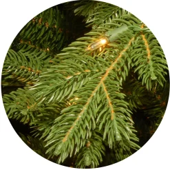 National Tree Company 7.5 ft. Pre-Lit Deluxe Downswept Douglas Fir Tree with PowerConnect Dual Color LED Lights