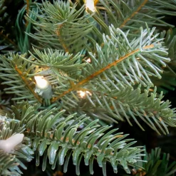 National Tree Company 10 ft. Pre-Lit Douglas Fir Hinged Tree with Warm White LED Lights