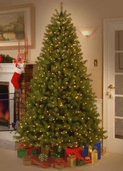National Tree Company 7.5 ft. Pre-Lit Downswept Douglas Fir Tree with Dual Color LED Lights