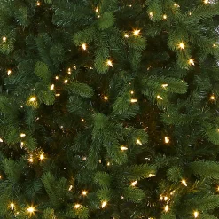 National Tree Company 12 ft. Pre-Lit Downswept Douglas Fir Pencil Slim Tree with Dual Color LED Lights