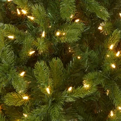 National Tree Company 4.5 ft. Pre-Lit Downswept Douglas Fir Tree with Dual Color LED Lights