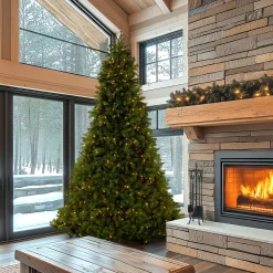 National Tree Company 10 ft. Pre-Lit Downswept Douglas Fir Tree with Dual Color LED Lights