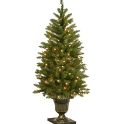 National Tree Company 4 ft. Pre-Lit Dunhill Fir Entrance Tree with Clear Lights