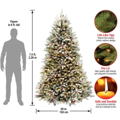 National Tree Company 7.5 ft. Pre-Lit Dunhill Fir Flocked Tree with 750 Clear Lights