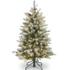 National Tree Company 4.5 ft. Pre-Lit Dunhill Fir Frosted Tree with Clear Lights