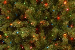 National Tree Company 7.5 ft. Pre-Lit Dunhill Fir Tree with Multicolor Lights
