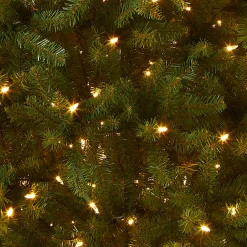 National Tree Company 7.5 ft. Pre-Lit Dunhill Fir Tree with Dual Color LED Lights
