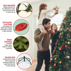 National Tree Company 7.5 ft. Pre-Lit Dunhill Fir Tree with Dual Color LED Lights