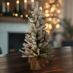 National Tree Company 3 ft. Pre-Lit Dunhill Fir Tree with Warm White LED Lights